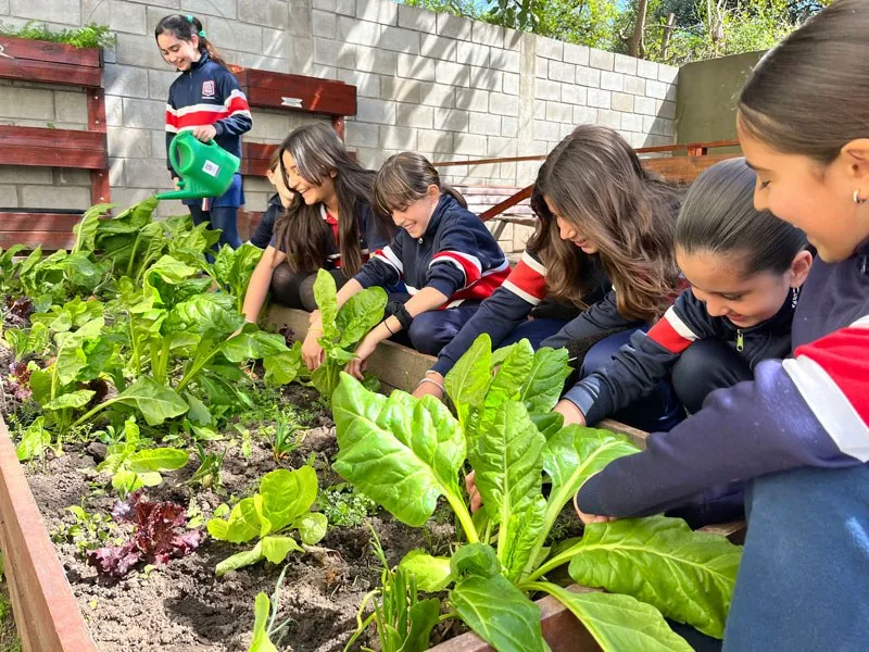 Estudiantes riegan los canteros de la huerta del proyecto Eco-Estrada